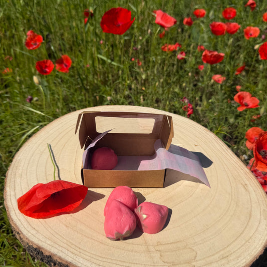 Strawberry Fields - Wax Melts