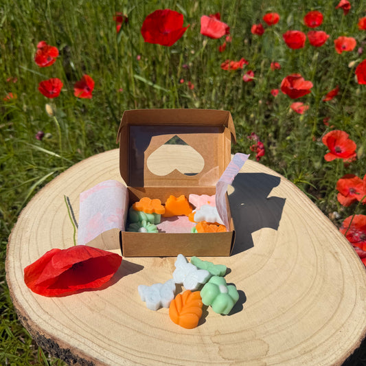 Meadow Whisper - Wax Melts