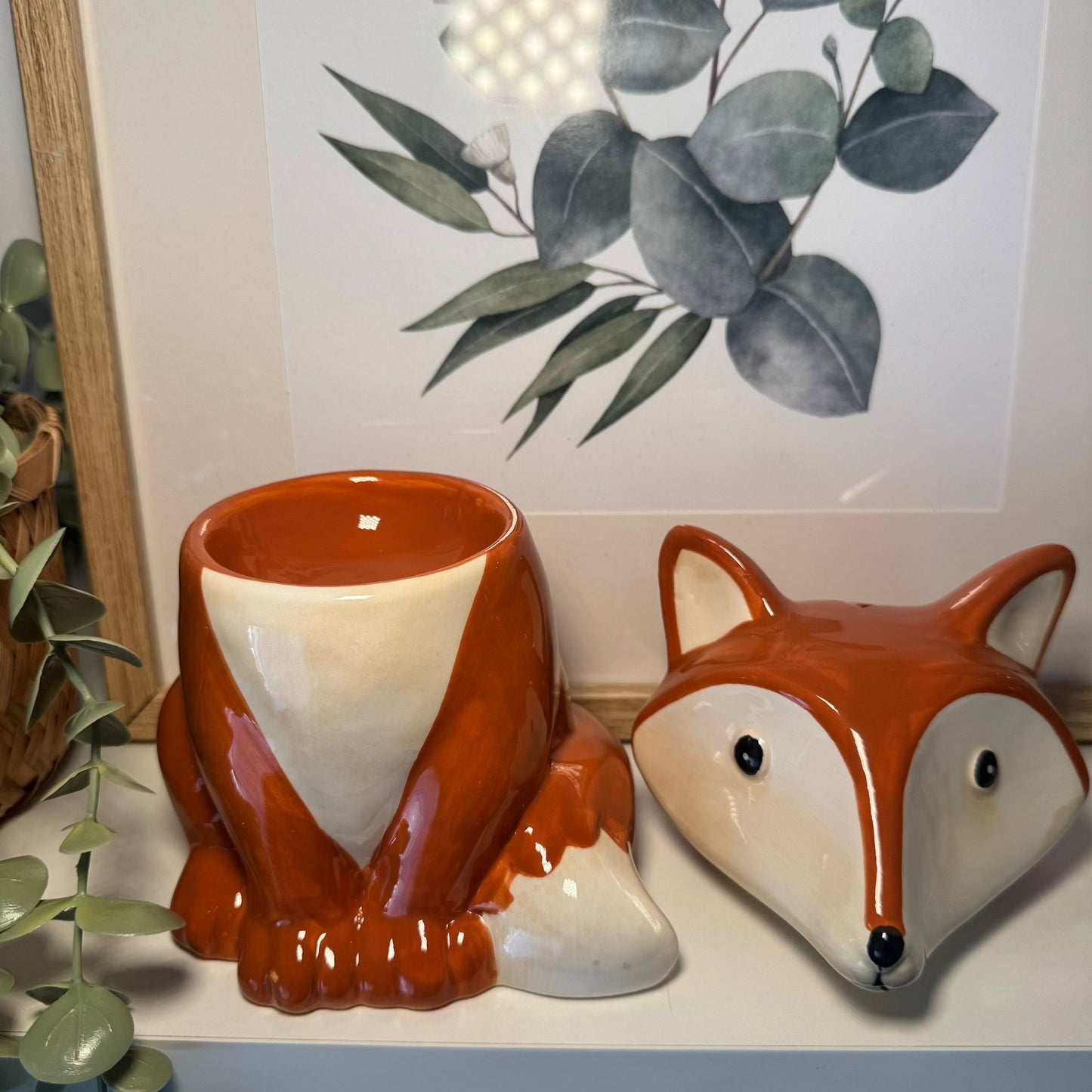 Quemador Foxy