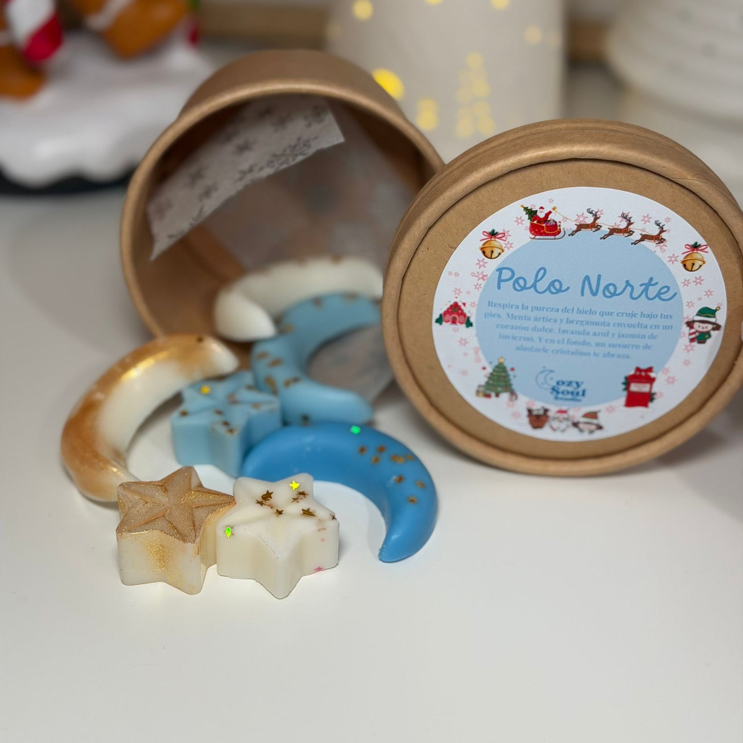 Polo Norte 🐻‍❄️