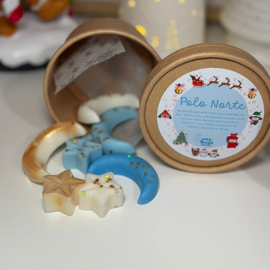 Polo Norte 🐻‍❄️