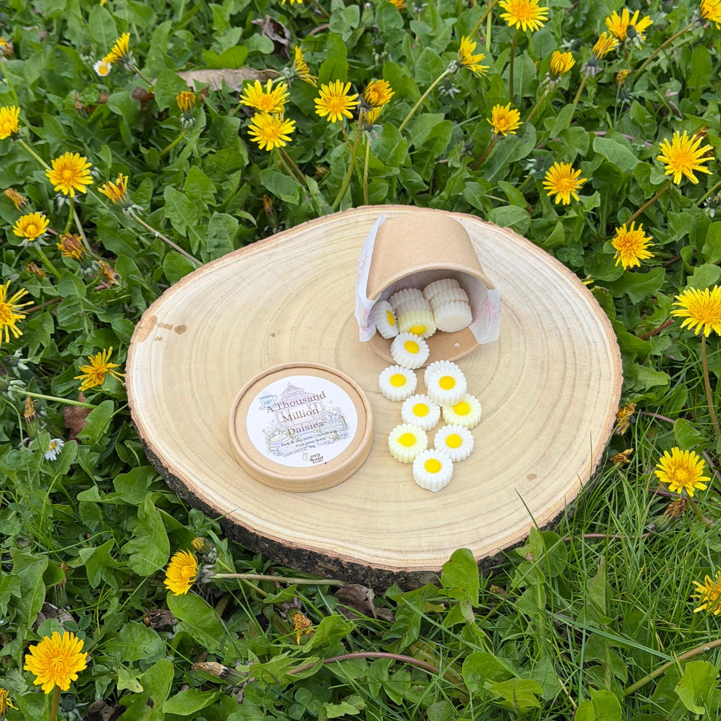 A Thousand Million Daisies