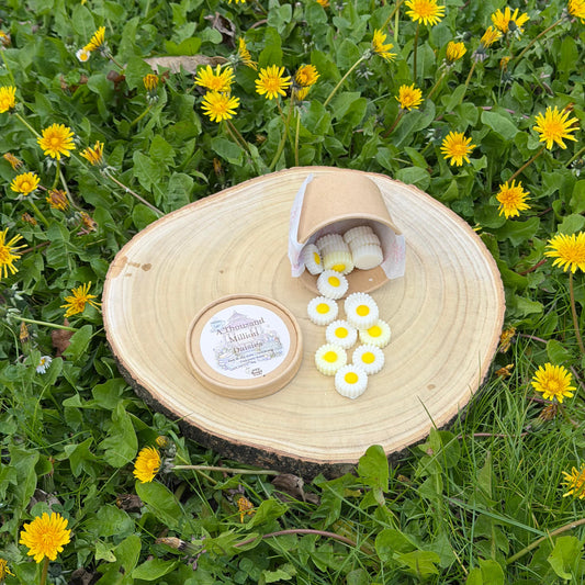 A Thousand Million Daisies