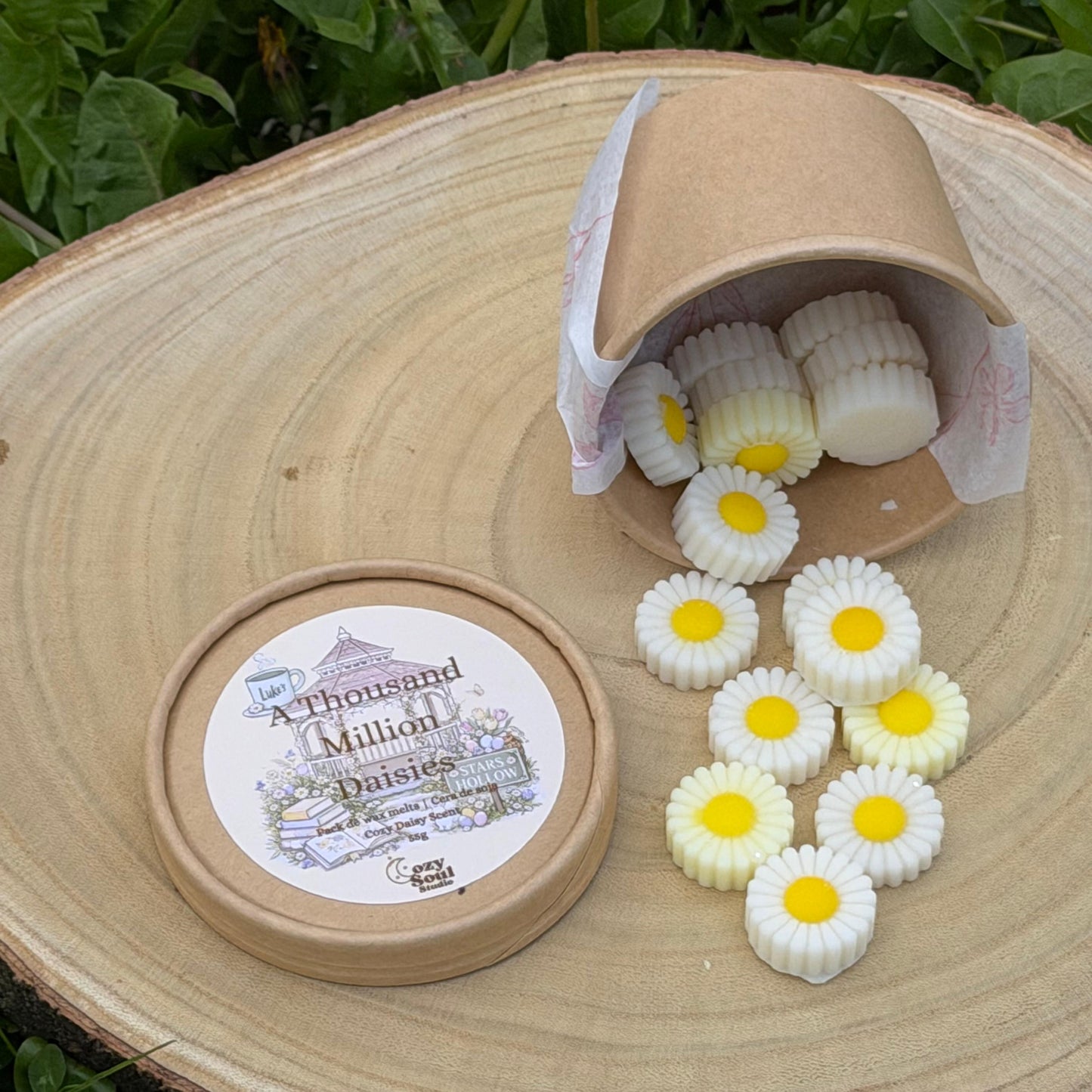 A Thousand Million Daisies