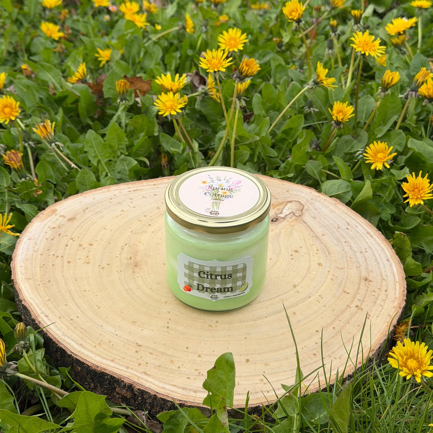 Colección Spring Cottage 🌸 completa