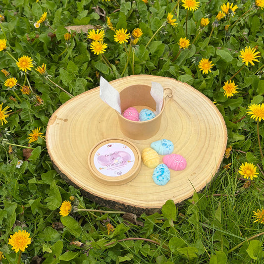 Delicias de Primavera