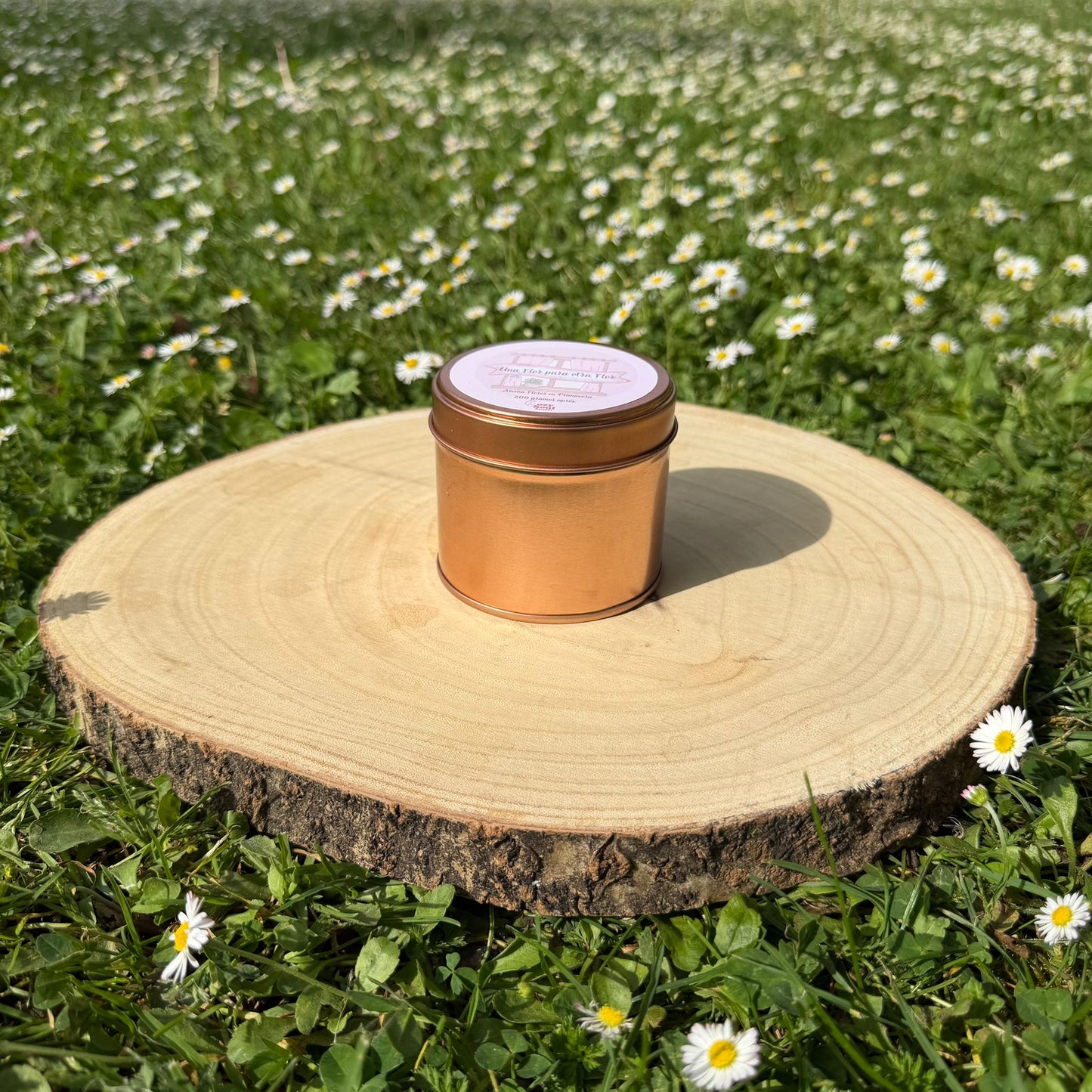Vela Una Flor Para otra Flor