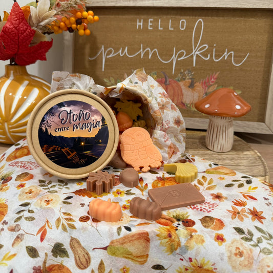 Otoño entre Magia - Wax Melts