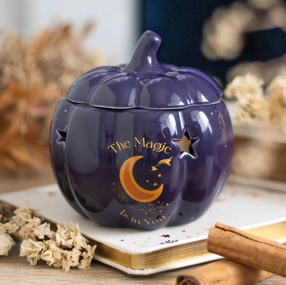Quemador The Magic is in You Pumpkin